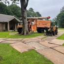 Eric Russell Tree Service - Tree Service