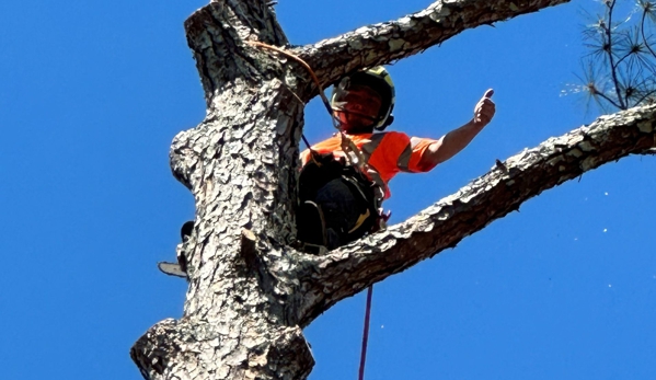 Arborall Tree Service - Flowery Branch, GA