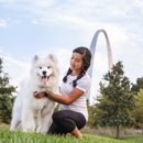 4-Legged Kids - Pet Services