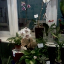 Ludema's Floral & Garden - Garden Centers