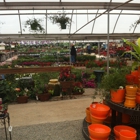 TLC Nursery & Greenhouses