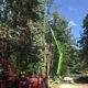 Shiver Tree Service