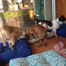Lucky Puppy Rescue & Retail