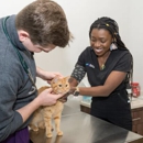 Arlington Animal Clinic - Veterinary Clinics & Hospitals