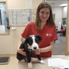 Meridian Veterinary Hospital gallery