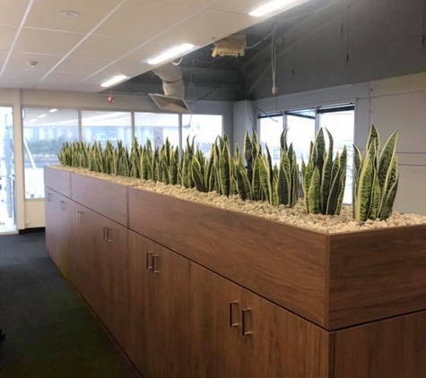 Jindalee Indoor Plant Service - Edgeworth, NSW