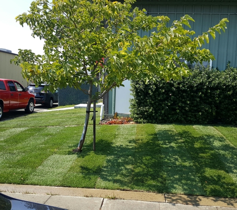 A&L Landscapes - Richmond, CA