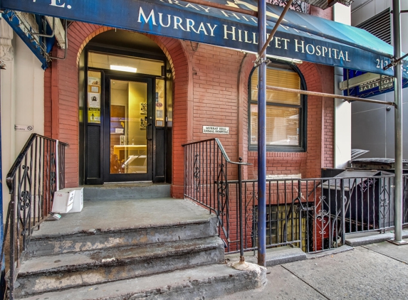 Murray Hill Pet Hospital - New York, NY