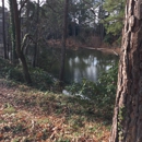 South Carolina Botanical Garden - Botanical Gardens