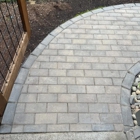 Turtle Shell Pressure Washing