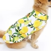 Modern Dog Of NJ gallery