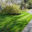 Seaview Landscaping Inc - Landscape Contractors