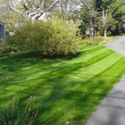 Seaview Landscaping Inc