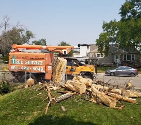 Grizzly's Tree Service & Landscaping - Salt Lake City, UT