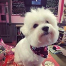 Woof Gang Bakery & Grooming Heathrow - Pet Grooming