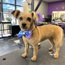 Sirius Pet Styling - Pet Grooming