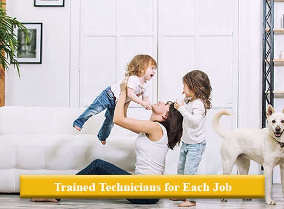Any Pest Control - Mount Gravatt East, QLD. Trained Technicians for Each Job