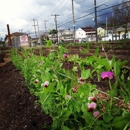 Edgemere Farm - Historical Places