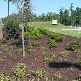 Mulch of Blue Ridge - Morganton, GA