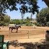 Riding Academy of Oc gallery