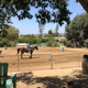 Riding Academy of Oc