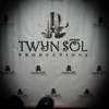 Twyn Sol Productions gallery