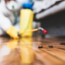 Morales Exterminating Co - Pest Control Equipment & Supplies