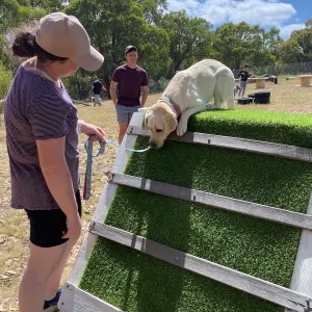 Alfoxton Dog Centre - Heathcote Junction, VIC