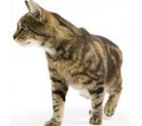 Ashridge Cattery & Kennels - Treeby, WA