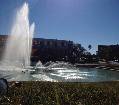 UCF Reflection Pond - Orlando, FL