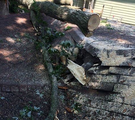 William's Tree Service - Baraboo, WI