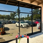 Lewolf Window Tint and Film Solutions