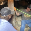 Rocky Mountain Sewer Pros gallery