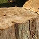 Dennison Tree Removal - Tree Service