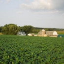 Mahoning Creek Farm - Butchering