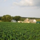 Mahoning Creek Farm