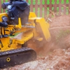 Redmond Tree Service Elite gallery