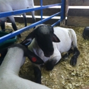 Ozaukee County Fair - Fairgrounds