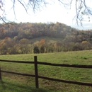 Beech Grove Stable and Kennels - Horse Boarding