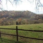 Beech Grove Stable and Kennels