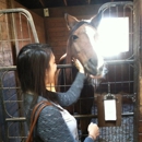 Hidden Pond Stables - Stables