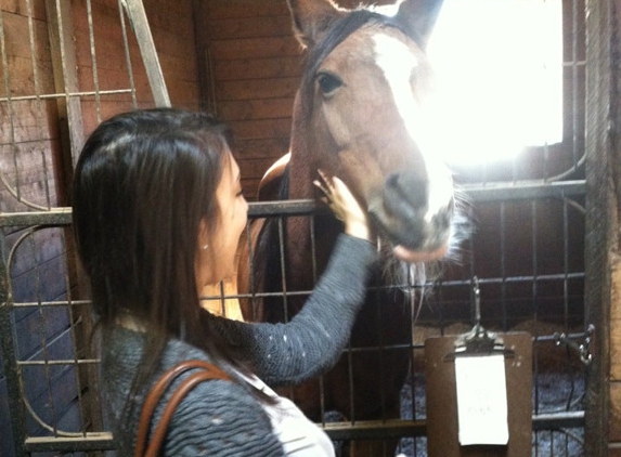 Hidden Pond Stables - Manorville, NY