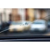 Stop-A-Crack Windshield Crack Repair & Replacement Cracks Repaired up to 24" gallery