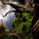 Hillsborough River State Park - State Parks