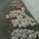 Hermanson Pumpkin Patch - Historical Places