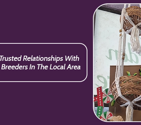 Valley Garden Centre - Kempsey, NSW. We Have Trusted Relationships With Local Bird Breeders In The Local Area