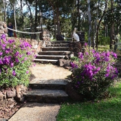 Gallery Image Number 5