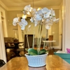 Blue Moon Estate Sales gallery