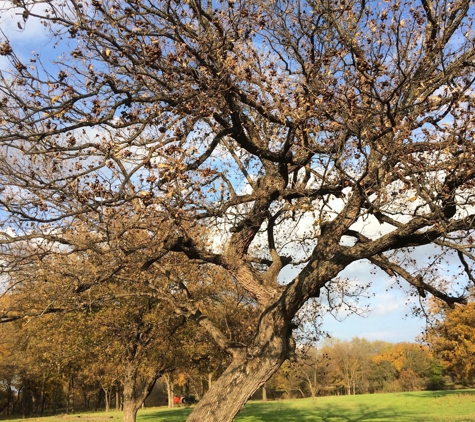 Millican Pecan Company - San Saba, Texas - San Saba, TX