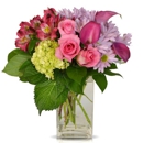 Dallas Petals - Florists